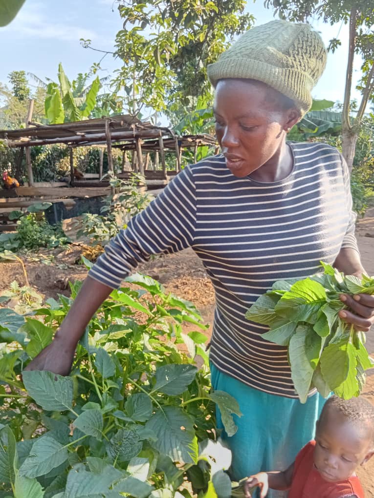 DORA community activity